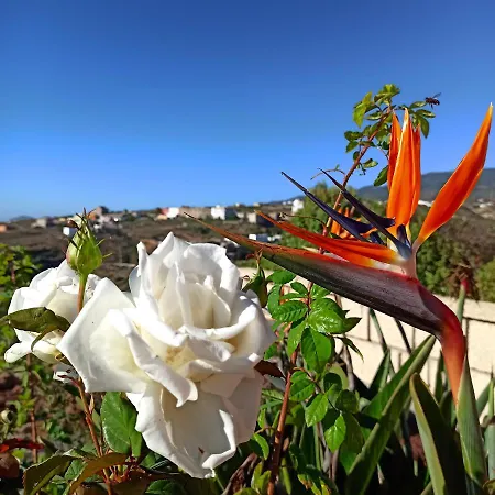 Apartamento Finca Aurora - Lovely 2-bed Finca With Pool *